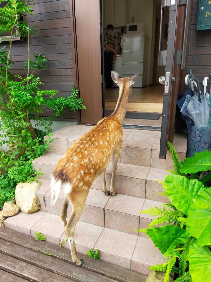 Deer Hostel- - 外国人向け - 日本人予約不可 Nara Exterior photo